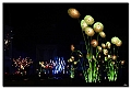 Lyon - Fete des lumières 2009